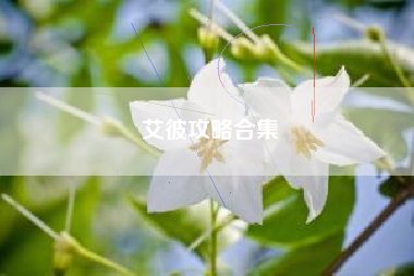 艾彼攻略合集