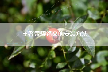 王者荣耀铭文的安装方法