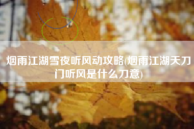 烟雨江湖雪夜听风动攻略(烟雨江湖天刀门听风是什么刀意)
