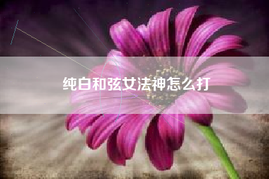 纯白和弦女法神怎么打