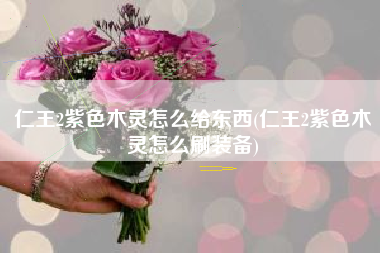 仁王2紫色木灵怎么给东西(仁王2紫色木灵怎么刷装备)