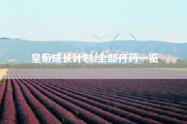 皇帝成长计划2全部丹药一览