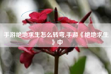 手游绝地求生怎么转弯,手游《绝地求生》中