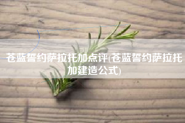 苍蓝誓约萨拉托加点评(苍蓝誓约萨拉托加建造公式)