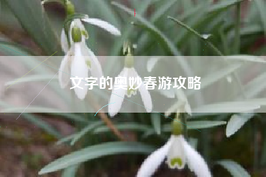 文字的奥妙春游攻略