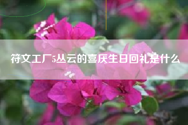 符文工厂5丛云的喜厌生日回礼是什么