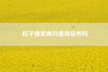 粒子搜索库玛值得培养吗