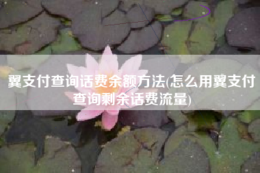 翼支付查询话费余额方法(怎么用翼支付查询剩余话费流量)