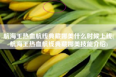 航海王热血航线典藏娜美什么时候上线(航海王热血航线典藏娜美技能介绍)