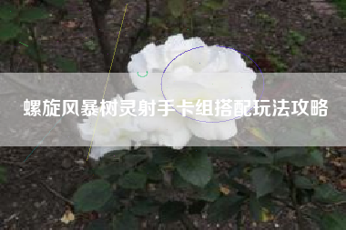 螺旋风暴树灵射手卡组搭配玩法攻略