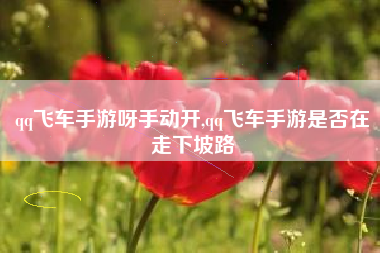 qq飞车手游呀手动开,qq飞车手游是否在走下坡路