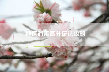 神医消毒高分玩法攻略