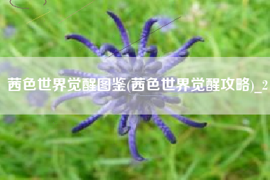 茜色世界觉醒图鉴(茜色世界觉醒攻略)_2