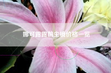 娜可露露前尘镜价格一览