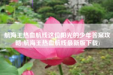 航海王热血航线这位阳光的少年答案攻略(航海王热血航线最新版下载)