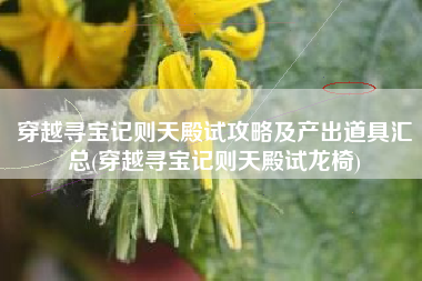 穿越寻宝记则天殿试攻略及产出道具汇总(穿越寻宝记则天殿试龙椅)