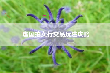 虚国拍卖行交易玩法攻略