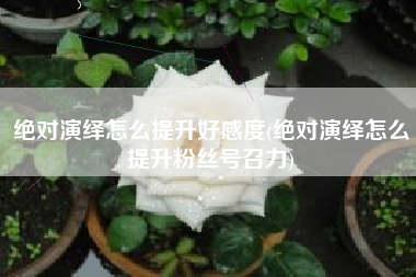 绝对演绎怎么提升好感度(绝对演绎怎么提升粉丝号召力)