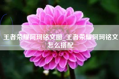 王者荣耀阿珂铭文图_王者荣耀阿珂铭文怎么搭配