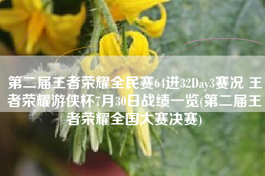 第二届王者荣耀全民赛64进32Day3赛况 王者荣耀游侠杯7月30日战绩一览(第二届王者荣耀全国大赛决赛)