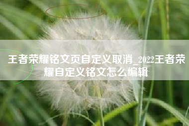 王者荣耀铭文页自定义取消_2022王者荣耀自定义铭文怎么编辑