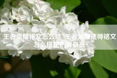 王者荣耀铭文怎么修_王者荣耀法师铭文怎么搭配伤害最高