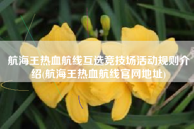 航海王热血航线互选竞技场活动规则介绍(航海王热血航线官网地址)