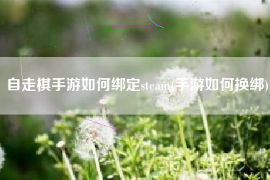 自走棋手游如何绑定steam(手游如何换绑)