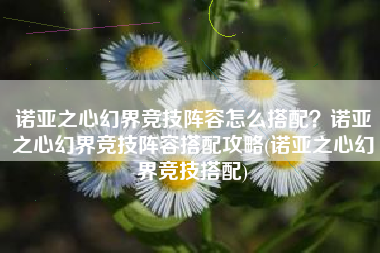 诺亚之心幻界竞技阵容怎么搭配？诺亚之心幻界竞技阵容搭配攻略(诺亚之心幻界竞技搭配)