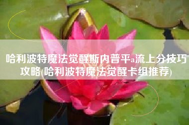 哈利波特魔法觉醒斯内普平a流上分技巧攻略(哈利波特魔法觉醒卡组推荐)