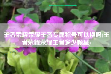 王者荣耀荣耀王者专属称号可以换吗(王者荣耀荣耀王者多少颗星)