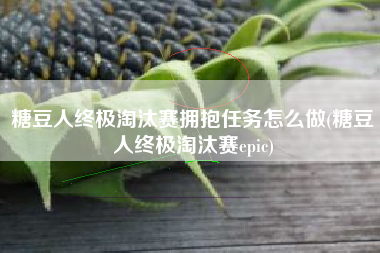 糖豆人终极淘汰赛拥抱任务怎么做(糖豆人终极淘汰赛epic)