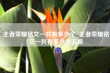 王者荣耀铭文一共有多少个_王者荣耀铭文一共有多少个五级