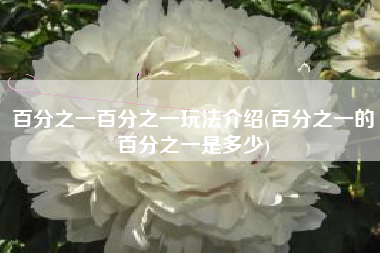 百分之一百分之一玩法介绍(百分之一的百分之一是多少)