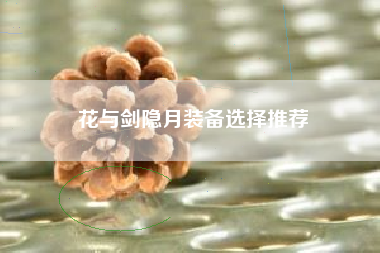 花与剑隐月装备选择推荐