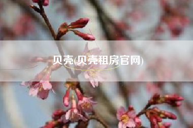 贝壳(贝壳租房官网)