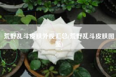 荒野乱斗皮肤外观汇总(荒野乱斗皮肤图鉴)