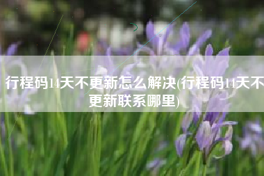 行程码14天不更新怎么解决(行程码14天不更新联系哪里)