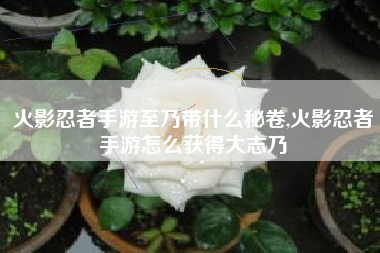 火影忍者手游至乃带什么秘卷,火影忍者手游怎么获得大志乃