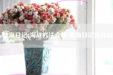 航海日记2海战打法介绍(航海日记海战勋章)