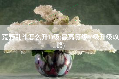 荒野乱斗怎么升10级(最高等级10级升级攻略)