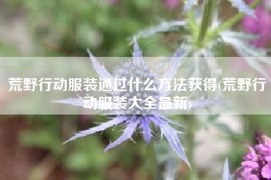 荒野行动服装通过什么方法获得(荒野行动服装大全最新)
