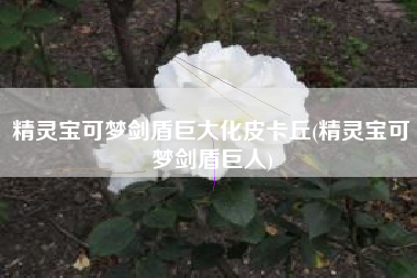 精灵宝可梦剑盾巨大化皮卡丘(精灵宝可梦剑盾巨人)