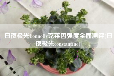 白夜极光Connolly克莱因强度全面测评(白夜极光constantine)