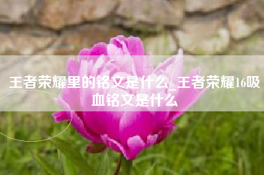 王者荣耀里的铭文是什么_王者荣耀16吸血铭文是什么