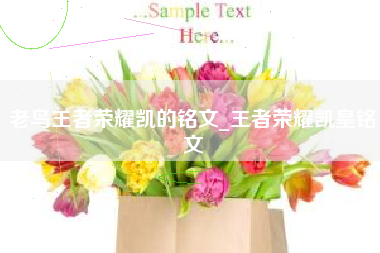 老鸟王者荣耀凯的铭文_王者荣耀凯皇铭文