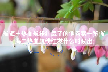 航海王热血航线红鼻子的他答案一览(航海王热血航线红发什么时候出)