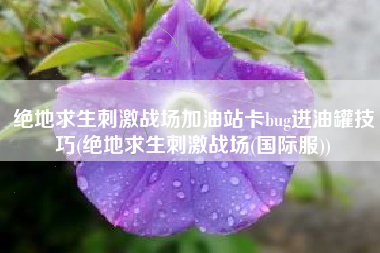绝地求生刺激战场加油站卡bug进油罐技巧(绝地求生刺激战场(国际服))