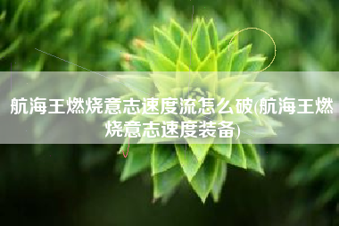 航海王燃烧意志速度流怎么破(航海王燃烧意志速度装备)