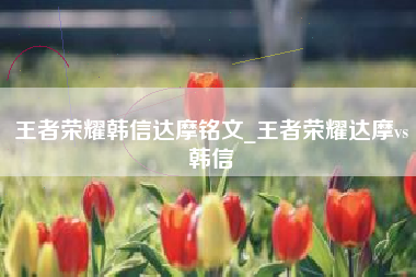 王者荣耀韩信达摩铭文_王者荣耀达摩vs韩信
